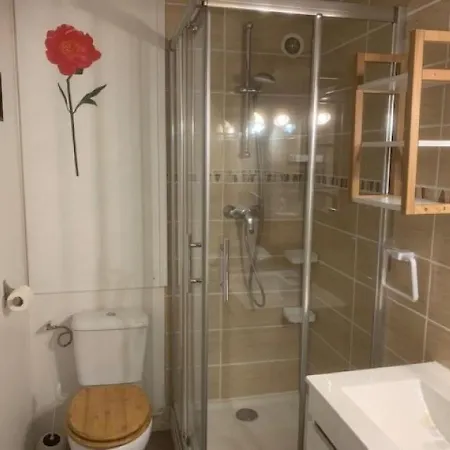 Apartmán Mont-dore, 1 Piece, 4 Personnes - Fr-1-415-51